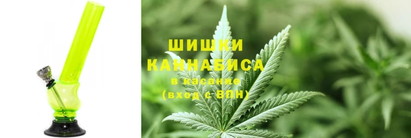 СК Алексин