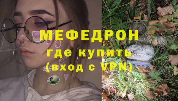 СК Алексин