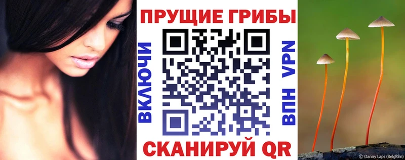 ссылка на мегу ТОР  Бикин  Галлюциногенные грибы GOLDEN TEACHER 
